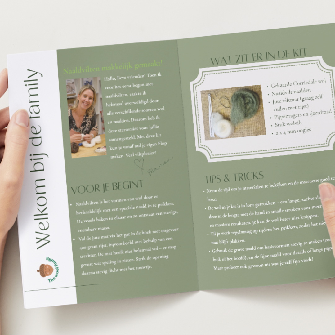 Flop de kikker - naaldvilt pakket voor beginners