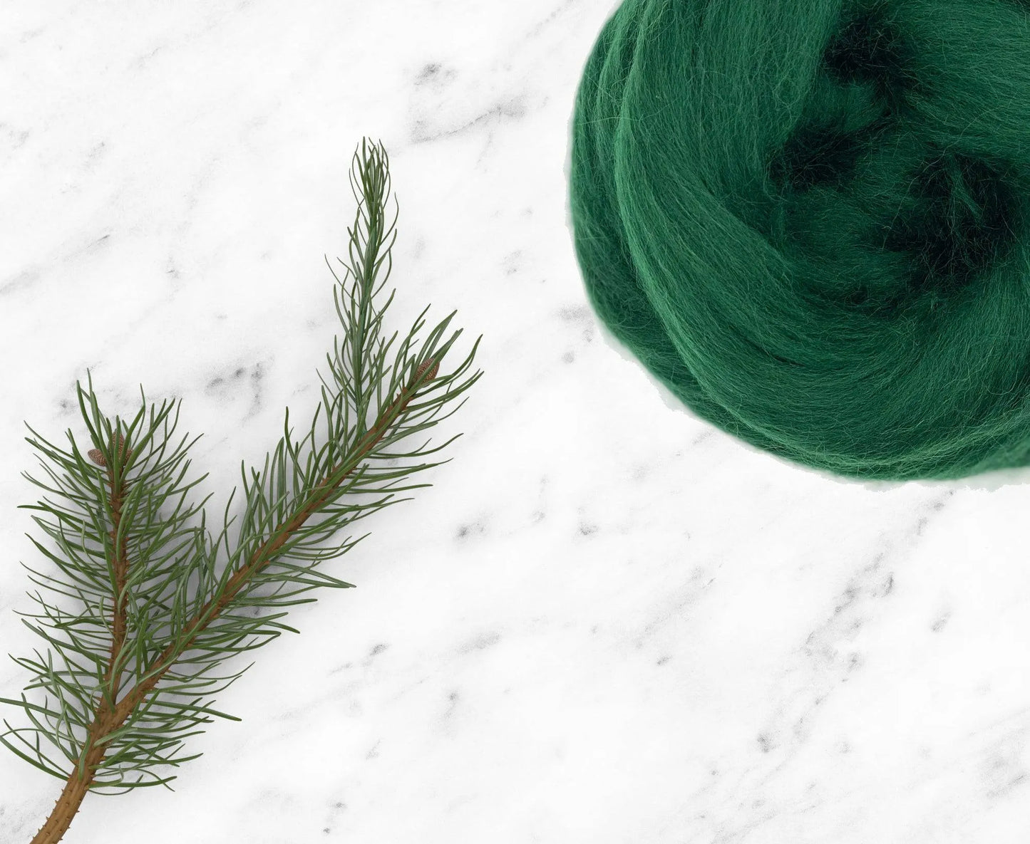 conifeer merino