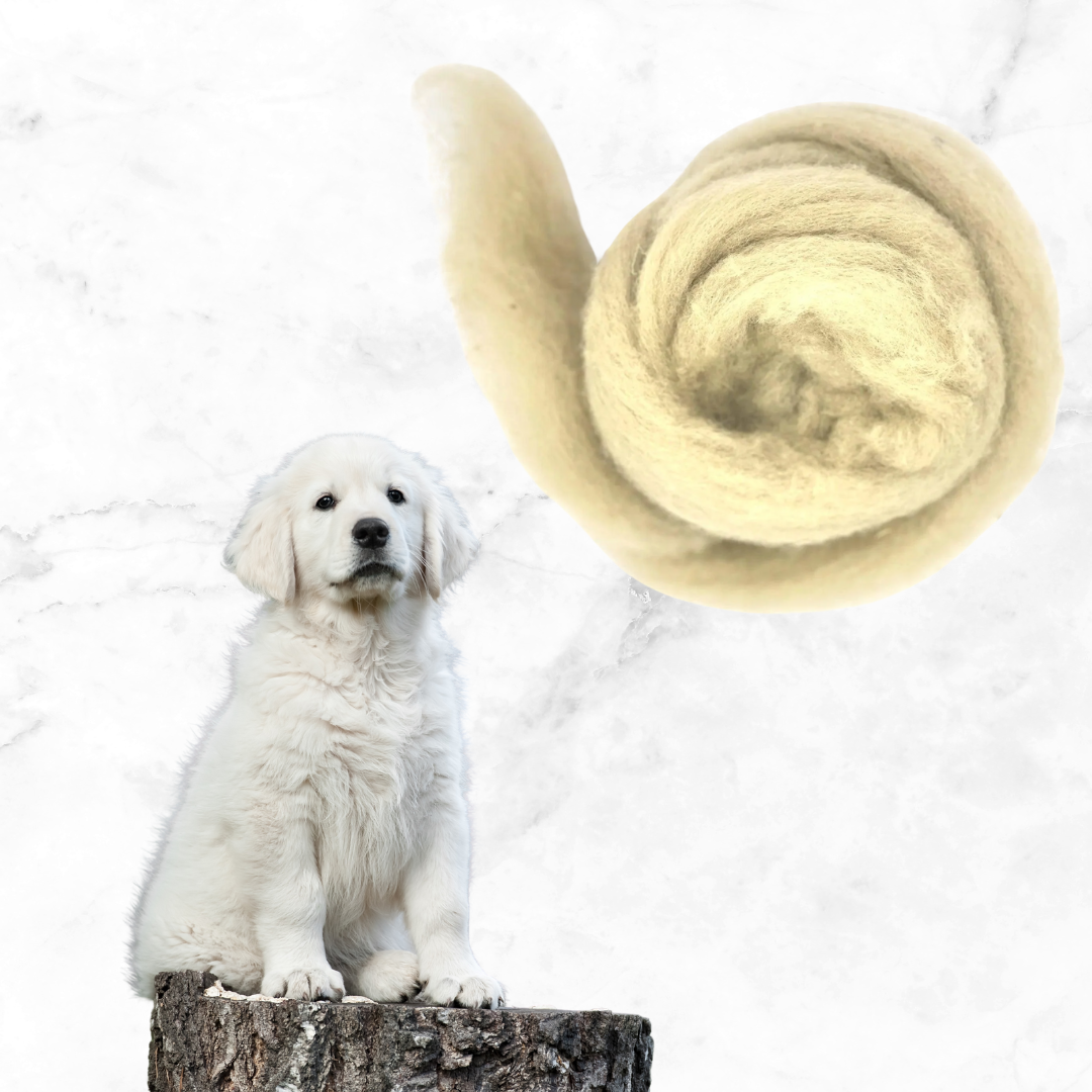 Corriedale gekaarde wol Vacht beige - HONDEN COLLECTIE - 25 gram