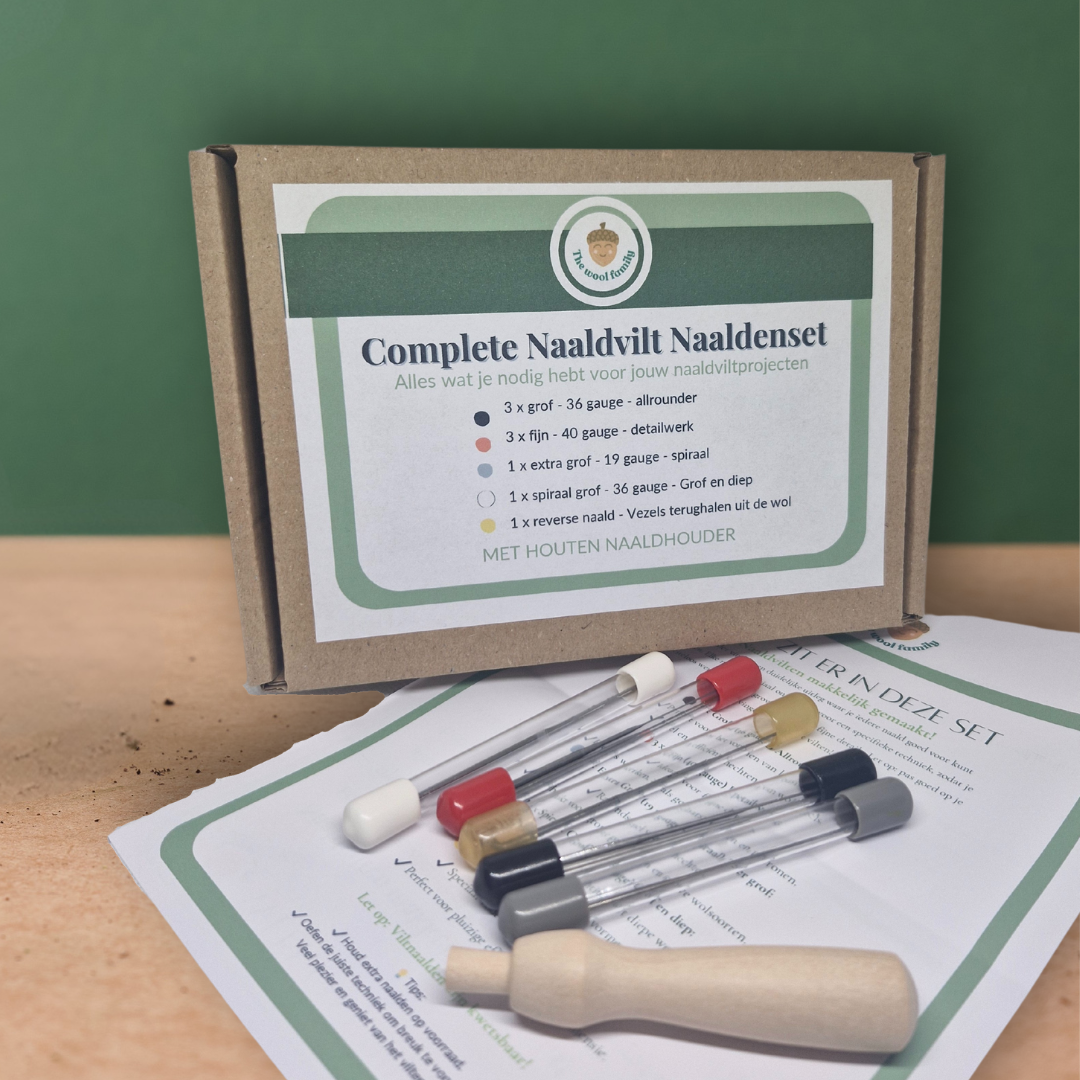 Complete naaldvilten naaldenset – ideaal voor beginners