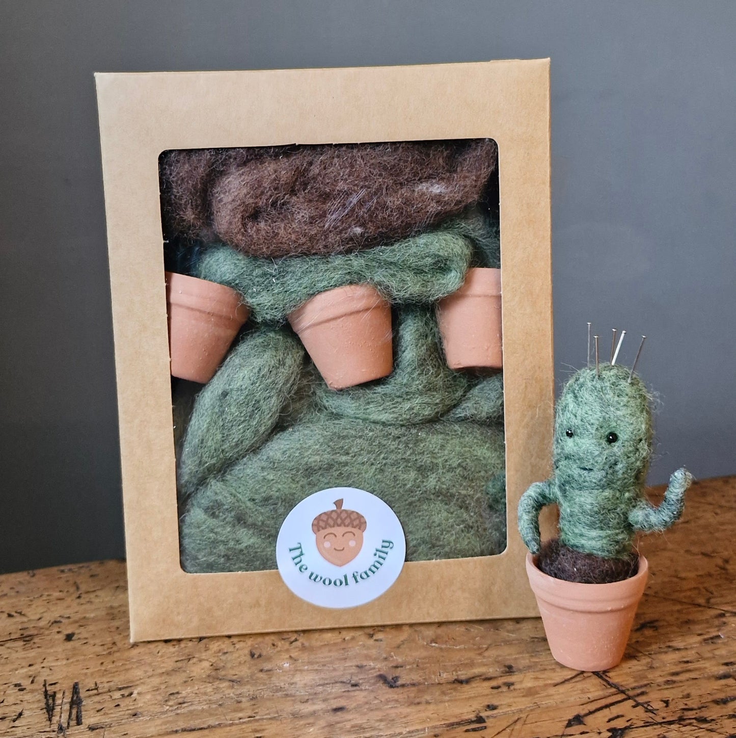 Mini naaldvilt Cactus -starterkit – Perfect voor beginners