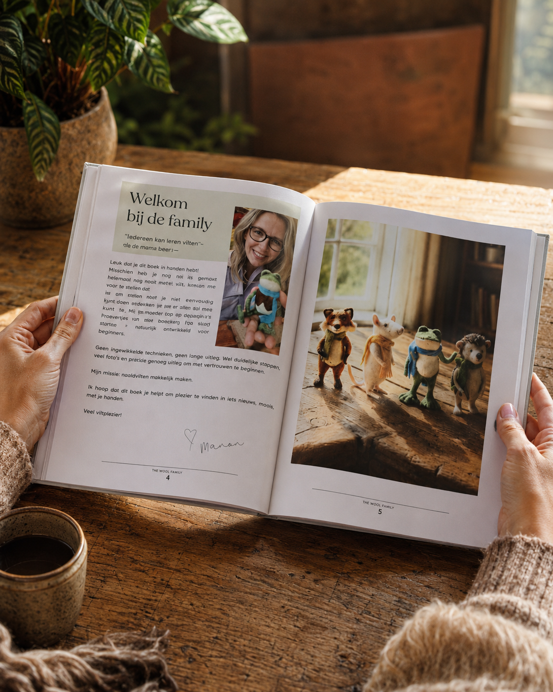 Naaldvilten voor beginners – boek + materialenpakket
