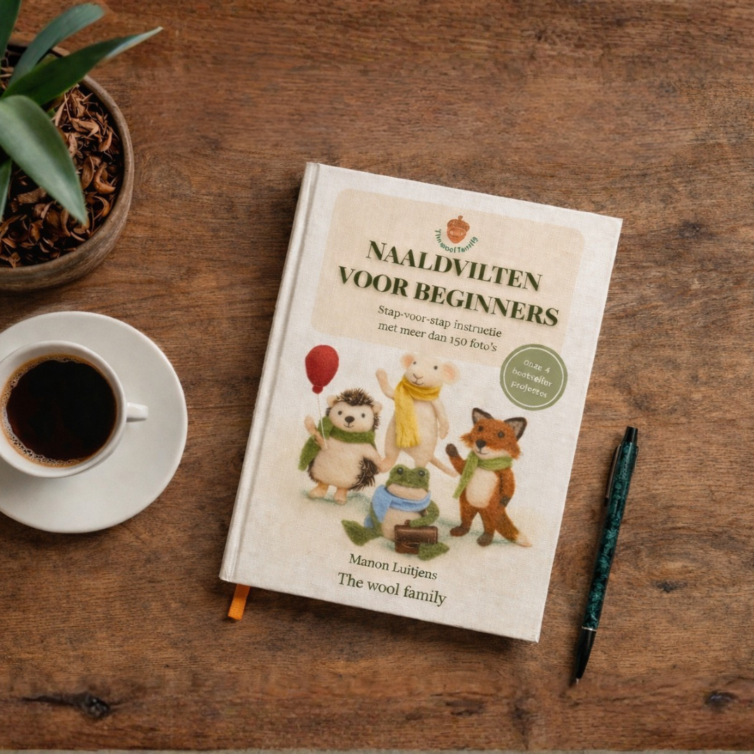 Naaldvilten voor beginners – boek + materialenpakket