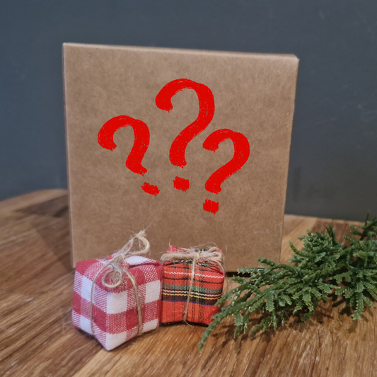 🎁 The Wool Family Mystery Outfit Kit