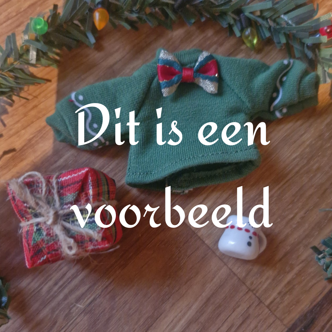 🎁 The Wool Family Mystery Outfit Kit