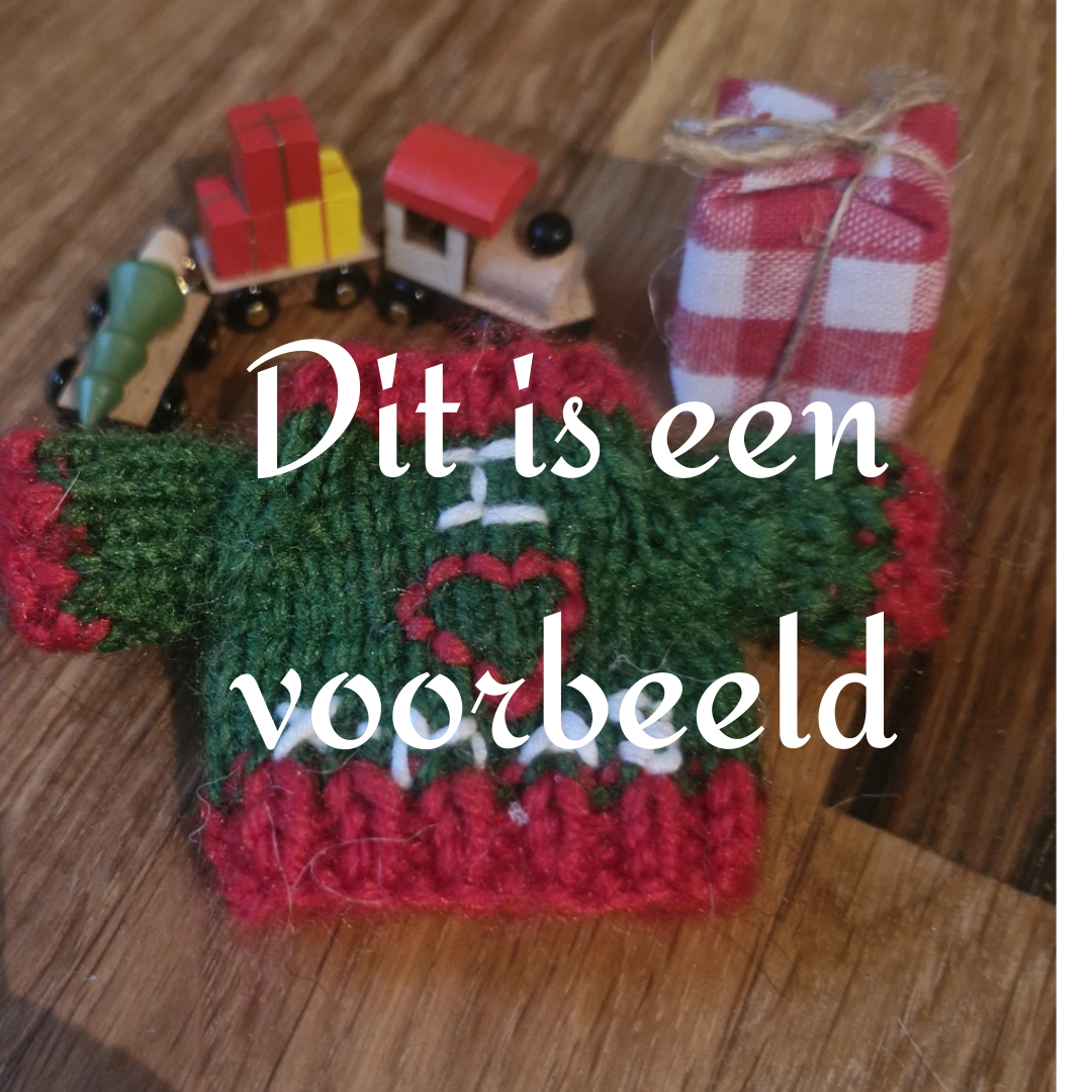 🎁 The Wool Family Mystery Outfit Kit