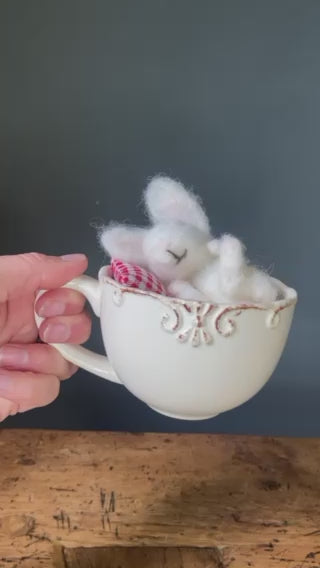 video of a cute bunny in a teacup