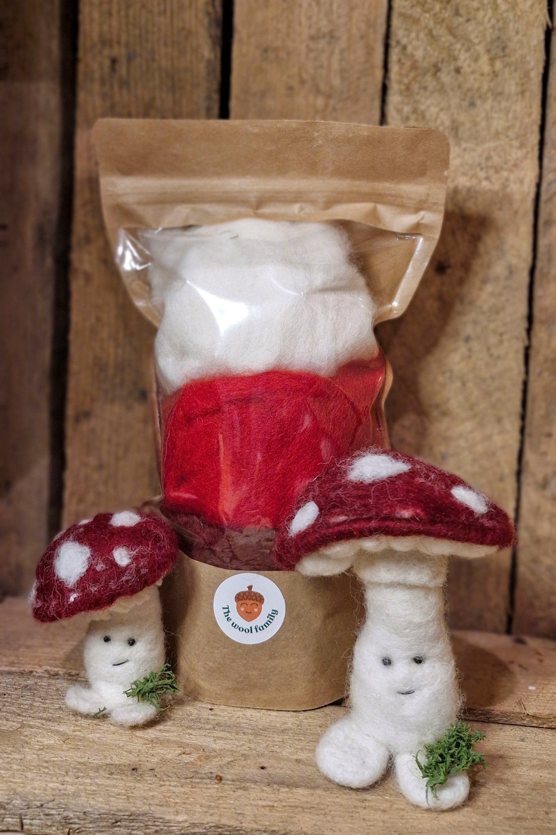 toadstool set wool 