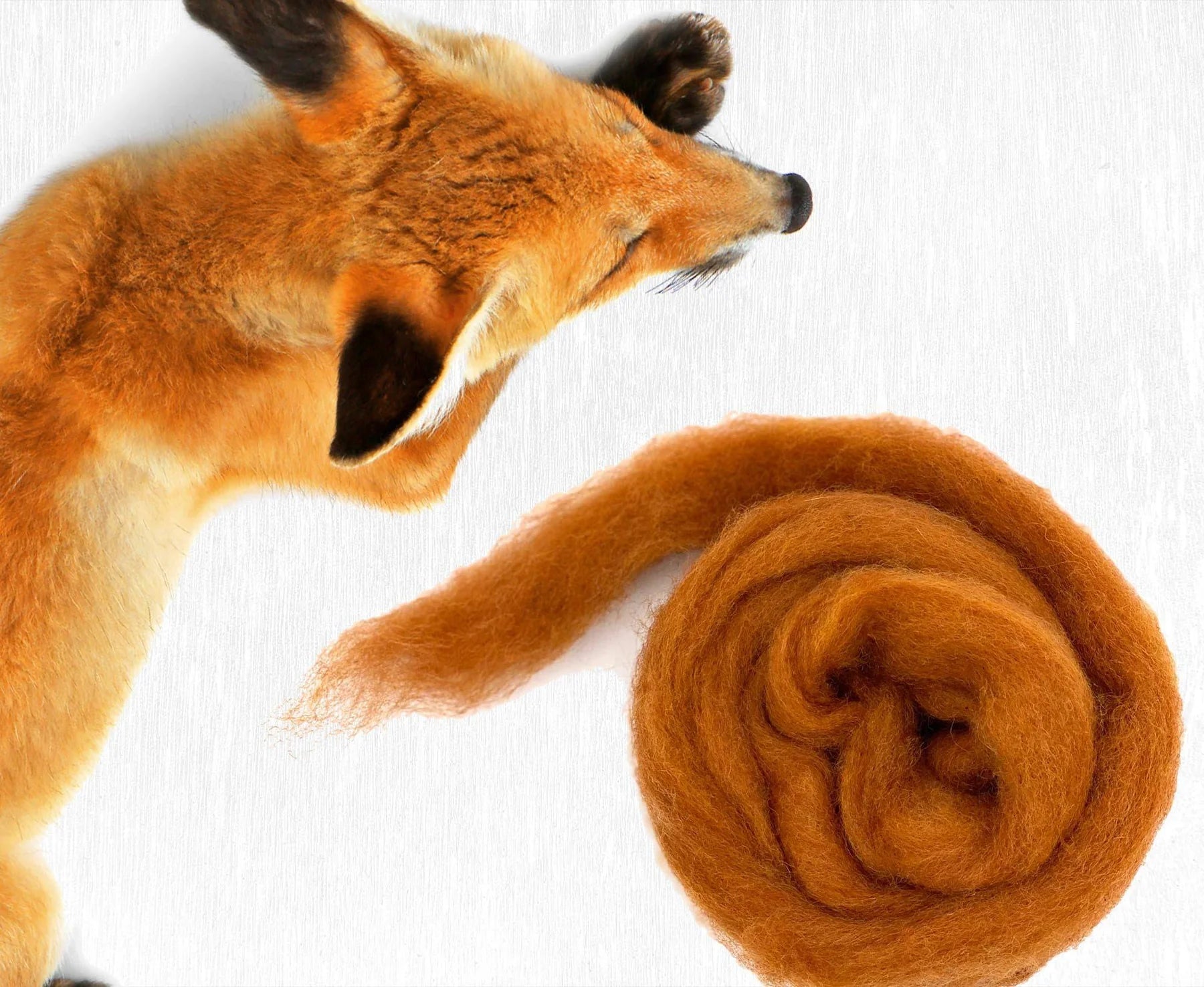 Carded corriedale wool colour fox